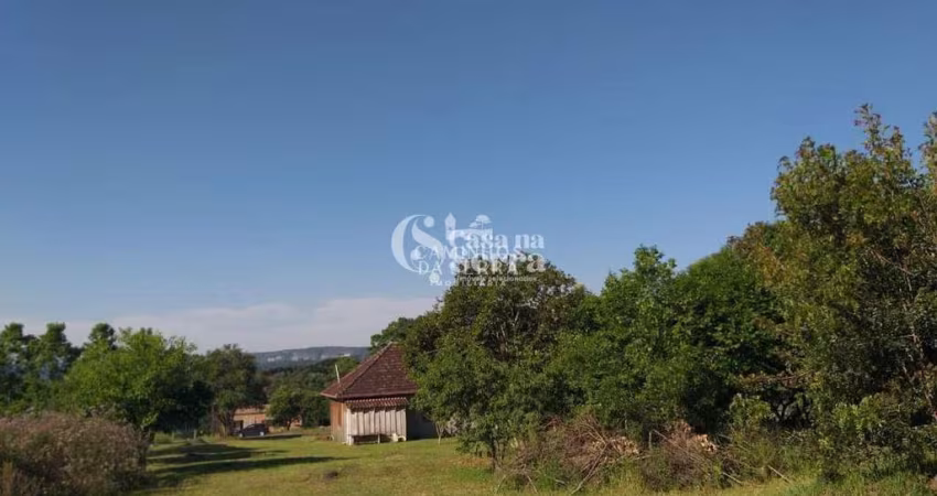 ÁREA À VENDA - RS 235- LINHA ARARIPE - NOVA PETRÓPOLIS/RS, Linha Araripe, Nova Petropolis - RS