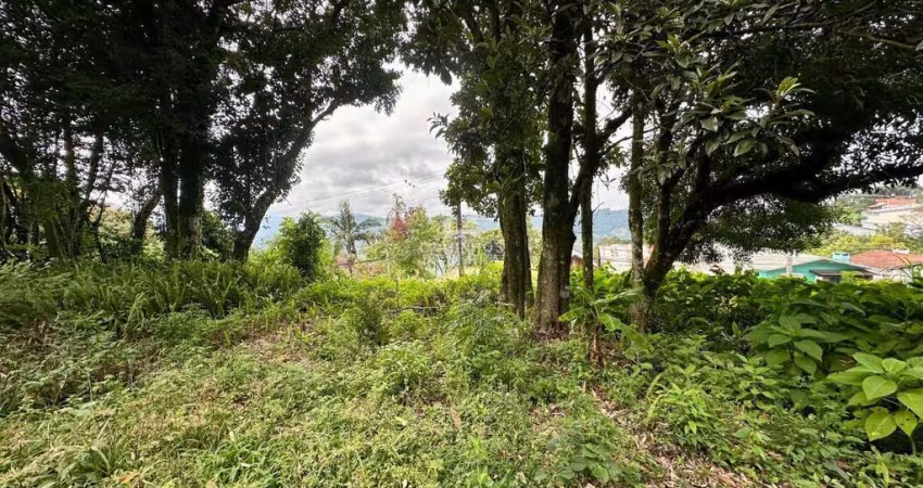 TERRENO À VENDA EM NOVA PETRÓPOLIS, Vila Olinda, Nova Petropolis - RS