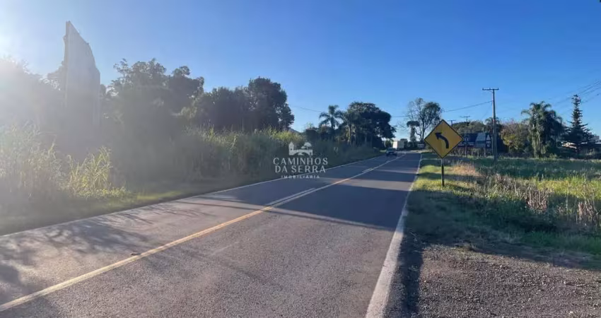 Terreno comercial à venda na rs 235, Linha Araripe, Nova Petrópolis