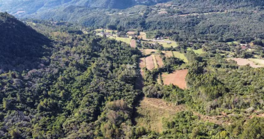 Terreno comercial à venda na RS 235, Linha Araripe, Nova Petrópolis
