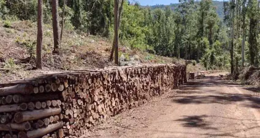 Área de 2,1 hectares à venda, a 10km do centro de nova petrópolis