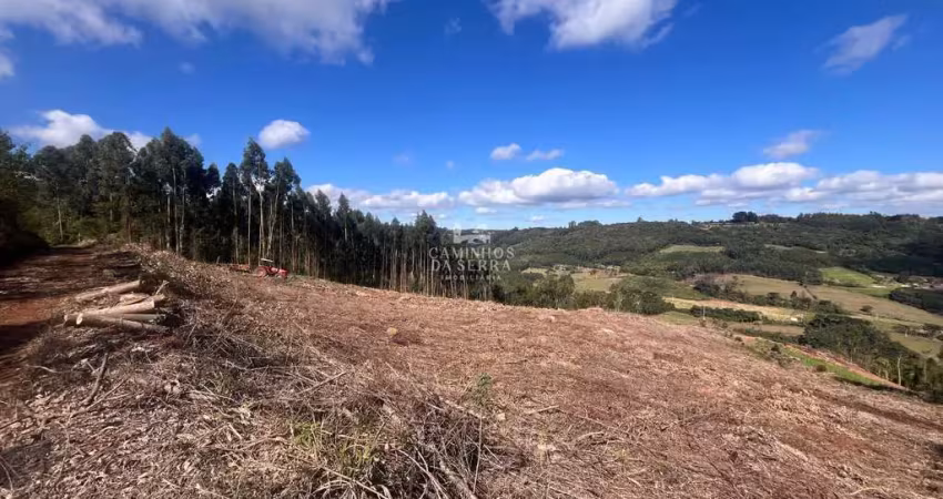 Terreno comercial à venda na sn, Pinhal Alto, Nova Petrópolis