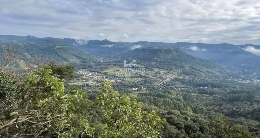 Fazenda à venda na Rua Balduino Klein, 2, Linha Quatro Cantos, Picada Café