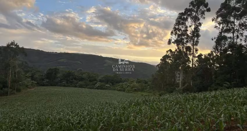 Fazenda à venda na vicente preito, Pinhal Alto, Nova Petrópolis