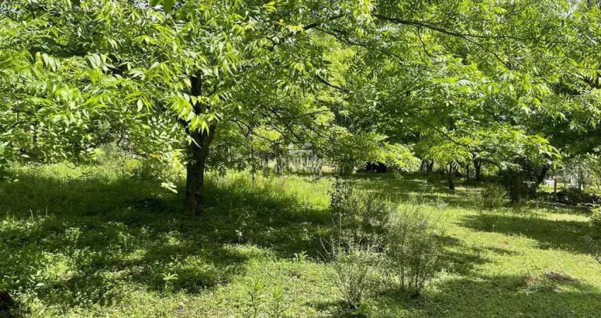 Fazenda à venda na RS 235, Linha Araripe, Nova Petrópolis