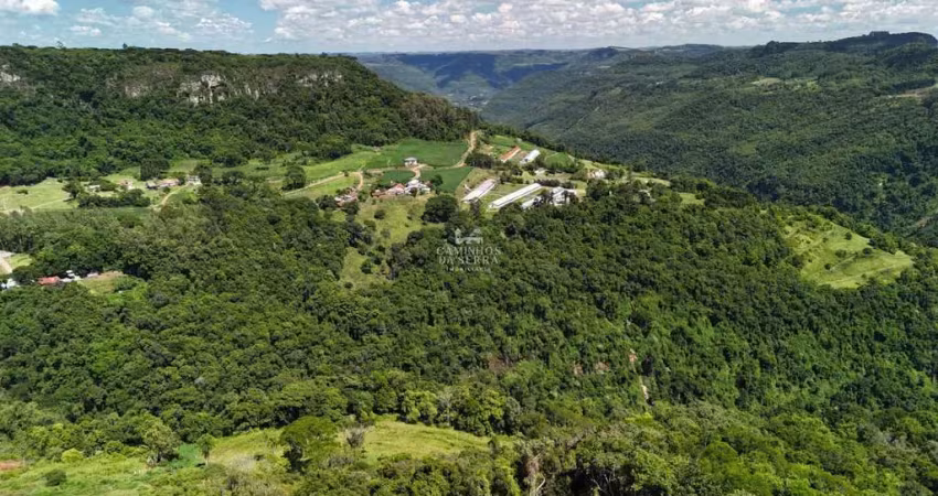 Fazenda à venda no Linha Imperial, Nova Petrópolis 