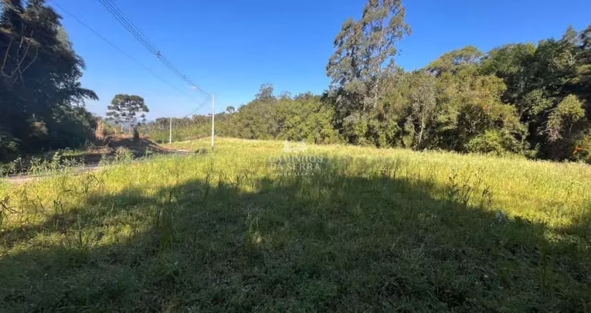 Fazenda à venda na DIREÇÃO CANTO MASS, 01, Vila Olinda, Nova Petrópolis