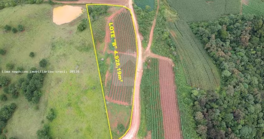 Área Rural para Venda em Campo Magro, Capivara dos Freitas