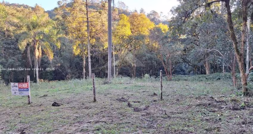 Área Rural para Venda em Campo Largo, Bateias