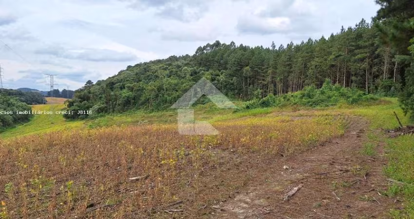 Área Rural para Venda em Campo Magro, Centro