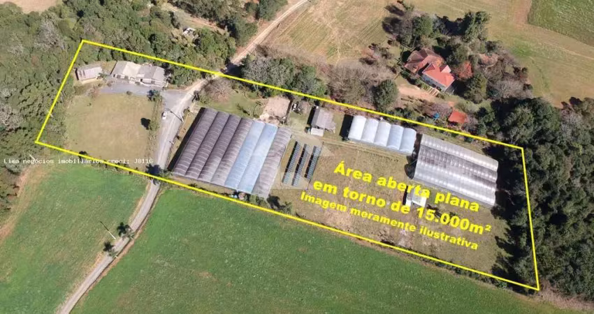 Residencial e comercial para venda em campo largo, santa nely, 4 dormitórios, 1 suíte, 4 banheiros, 2 vagas