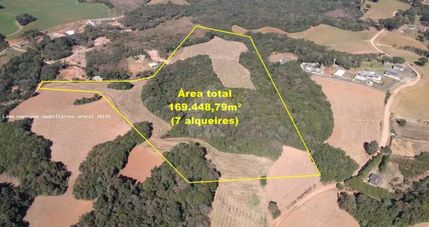 Terreno comercial à venda na Rua Ignácio Belinovski, Jardim Santa Nely, Campo Largo