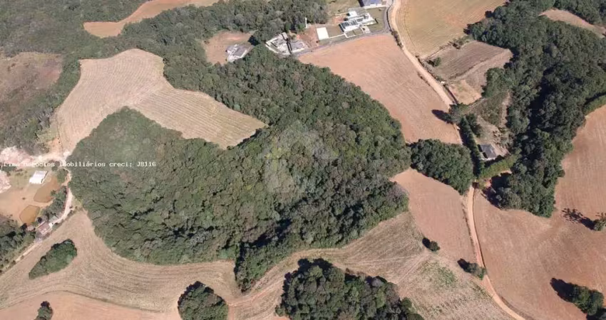 Terreno comercial à venda na Rua Ignácio Belinovski, Jardim Santa Nely, Campo Largo