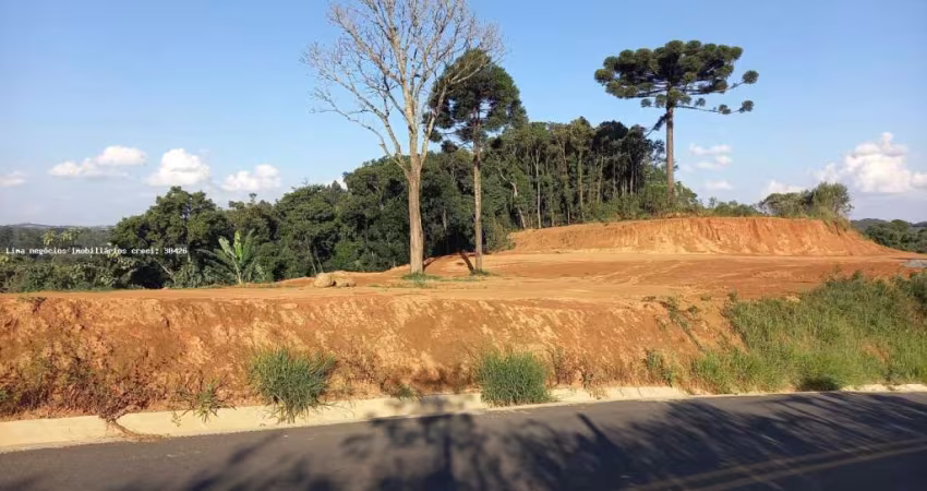 Área para Venda em Campo Magro, Quarteirão São João