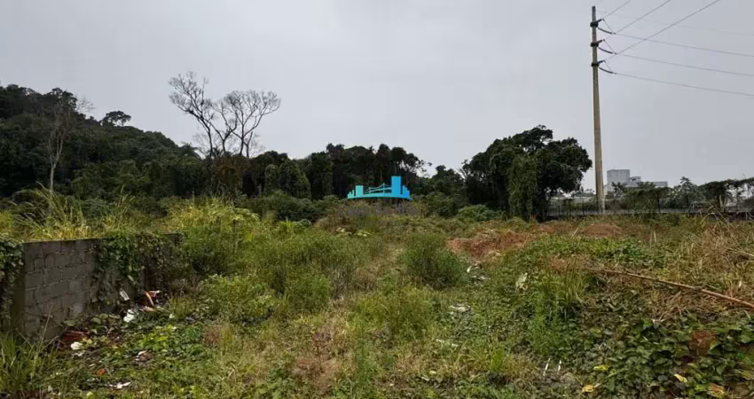 Terreno à venda no Campeche, Florianópolis 