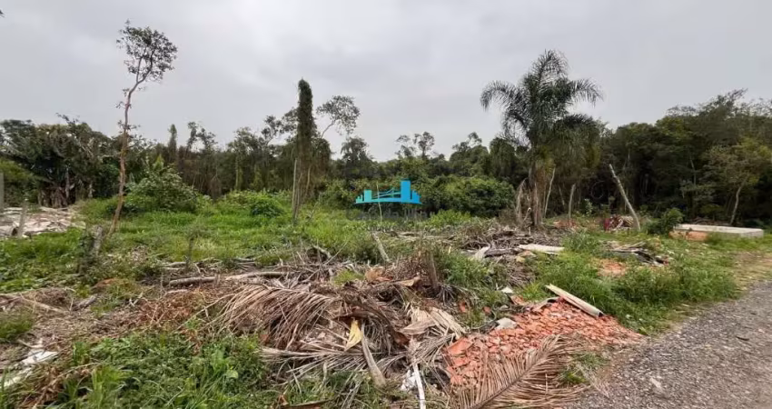 Terreno à venda no Campeche, Florianópolis 
