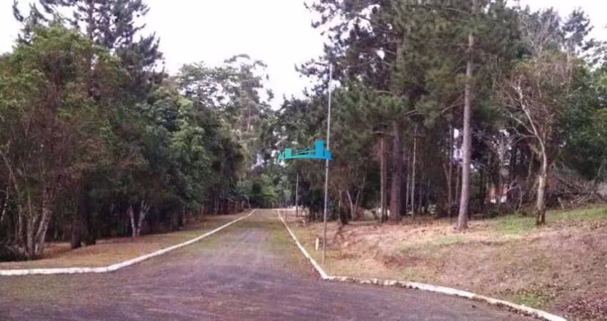 Terreno à venda no Ratones, Florianópolis 