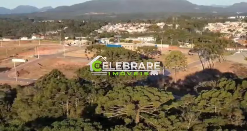 Terreno à venda na Rua Pedro Câmbio Cortiano, 479, Jardim Orestes Thá, Quatro Barras