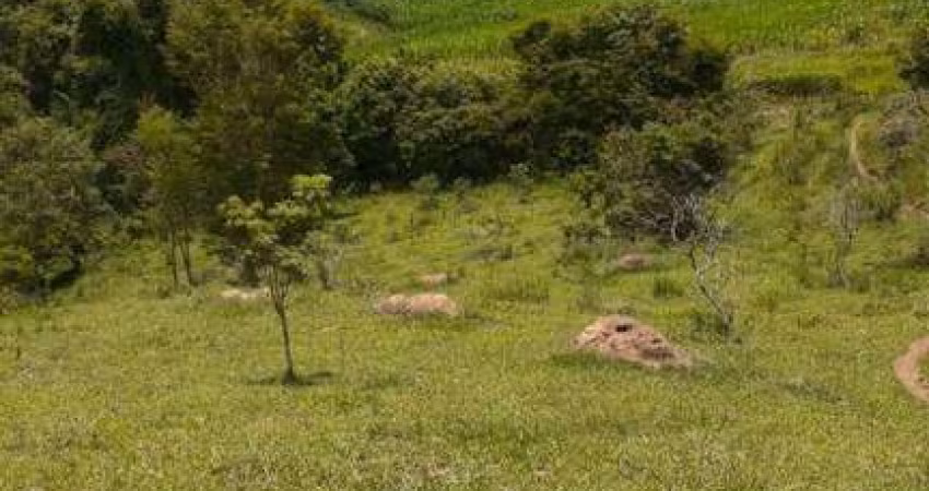 Área à venda, 61,5 hectares por R$ 2.450.000