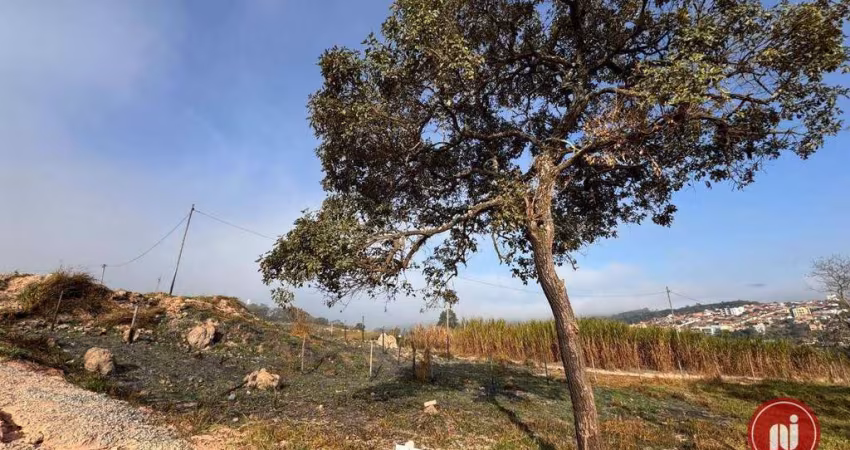 Terreno à venda, 469 m² por R$ 178.000,00 - Ficus  - Brumadinho/MG