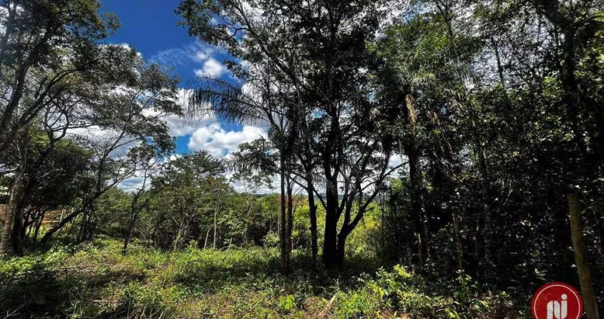Terreno à venda, 1800 m² por R$ 220.000,00 - Aranha - Brumadinho/MG