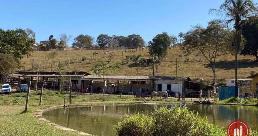 Fazenda à venda, 100000 m² por r$ 4.000.000 - charneca - betim/mg