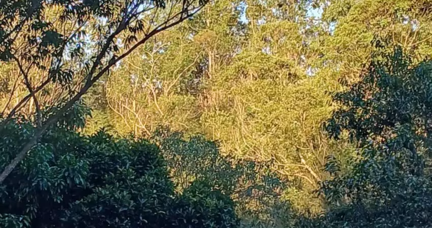 Terreno em condomínio fechado à venda no Gabriel Piza, São Roque 