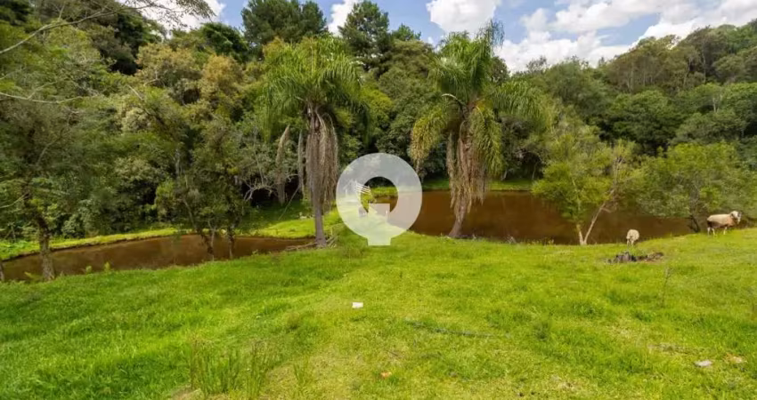 Chácara / sítio com 4 quartos à venda na Br 116 Km 156, 156, Zona Rural, Mandirituba