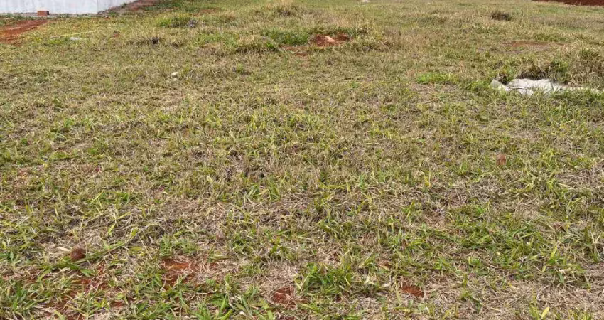 Terreno à venda na Vila Pântano II, Santa Bárbara D'Oeste 