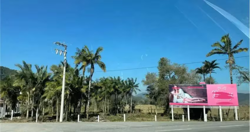 Terreno comercial à venda no Centro, Ilhota 