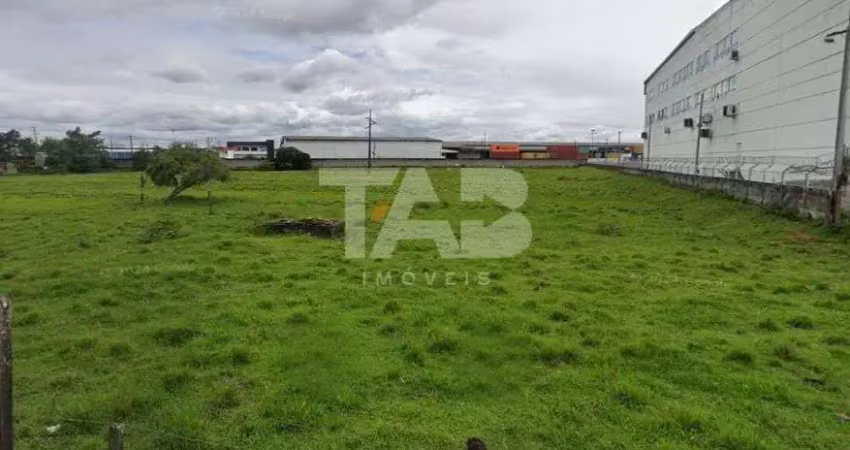 Terreno comercial à venda na Rua Joaquim Geraldino Bittencourt, 210, Santa Regina, Itajaí