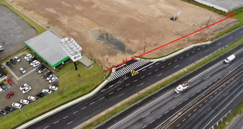 Terreno comercial à venda na BR101, Santa Regina, Itajaí