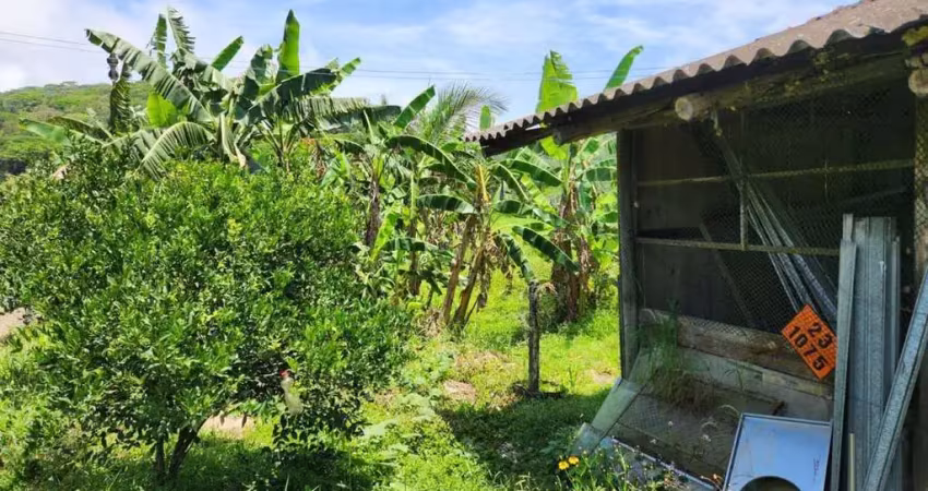 Terreno comercial à venda na BR 101 km 110, Centro, Penha