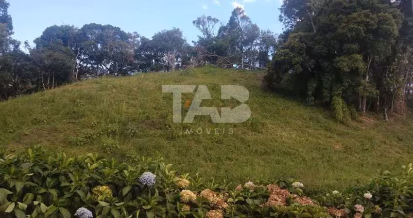 Terreno comercial à venda na Praça Leonardo Sell, 159, Centro, Rancho Queimado