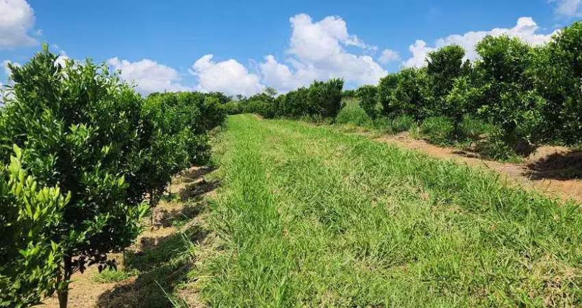 Fazenda / sítios / chácaras com 3 quartos à venda em três corações