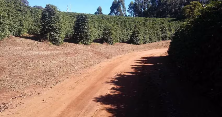 Fazenda à venda na Estrada Zona Rural, 350, Centro, Lambari