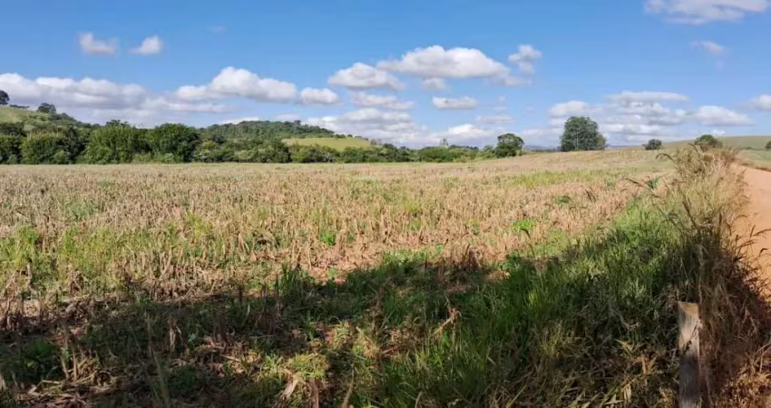 Fazenda / sítios / chácaras à venda em cordislândia