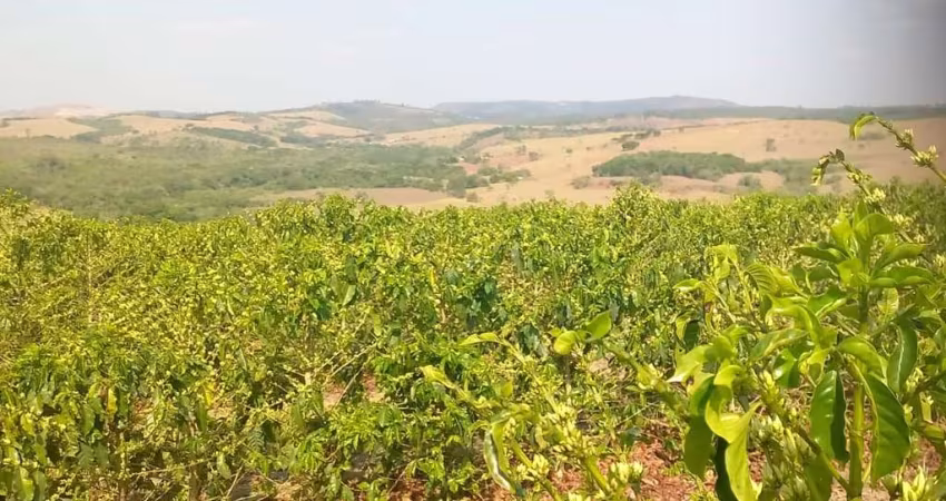 Fazenda / Sítios / Chácaras com 4 quartos à venda em Bom Sucesso