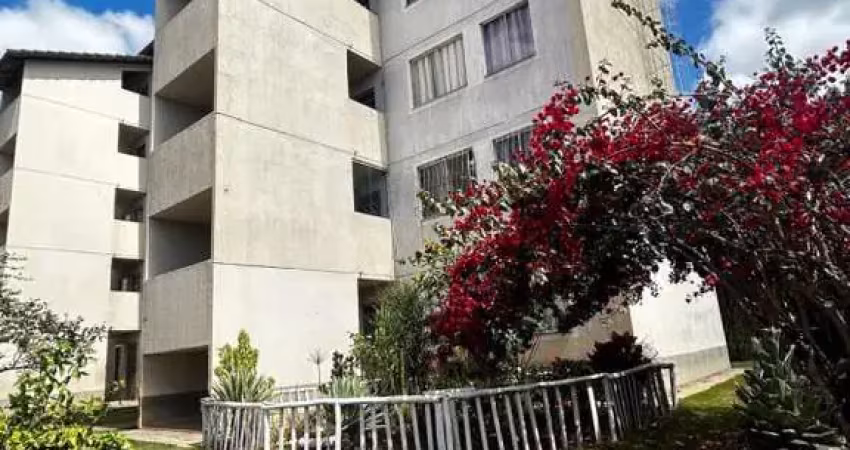 Apartamento com 2 quartos para alugar em belo horizonte