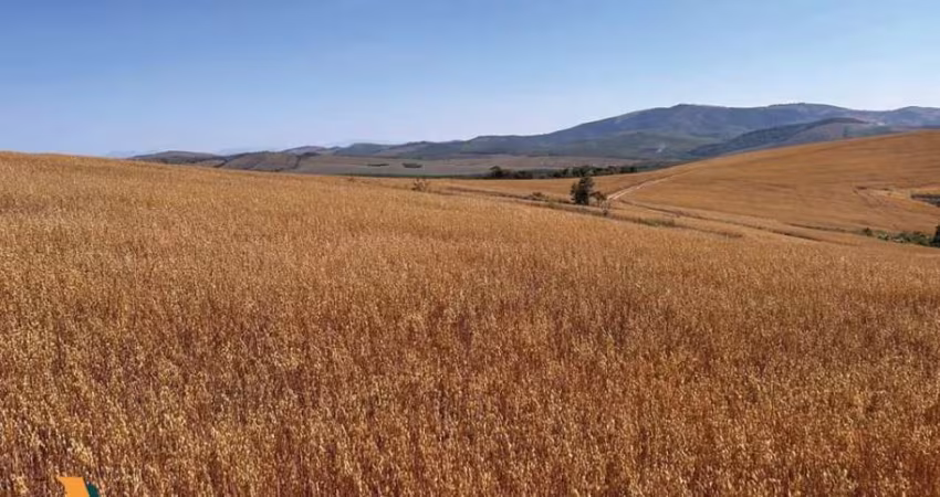 Fazenda / Sítios / Chácaras à venda em Andrelândia