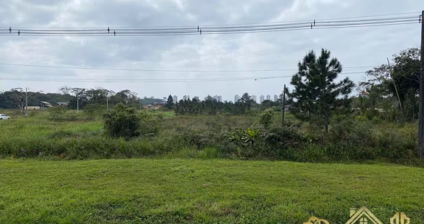 Terreno BR 101