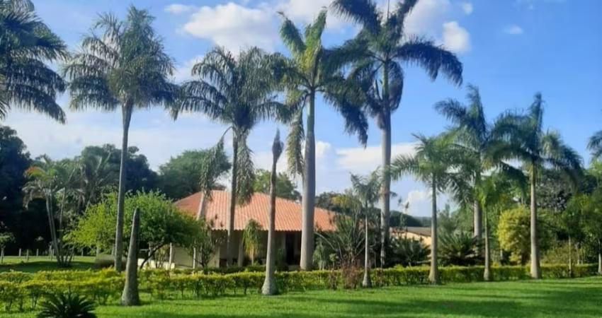 LINDA CHACARA