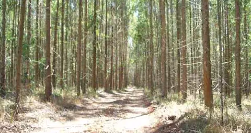 Terreno de 20.000m² no pitangal, jarinu-sp: sua oportunidade de investimento na melhor localização!