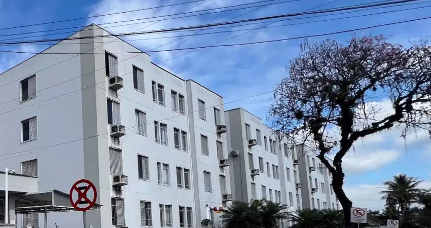 Apartamento com 3 quartos à venda na Rua Padre Kolb, 99, Bucarein, Joinville
