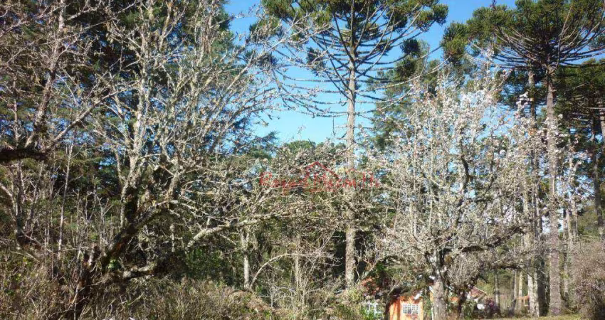 Terreno à venda, 9565 m² por R$ 4.000.000,00 - Jardim Belvedere - Campos do Jordão/SP