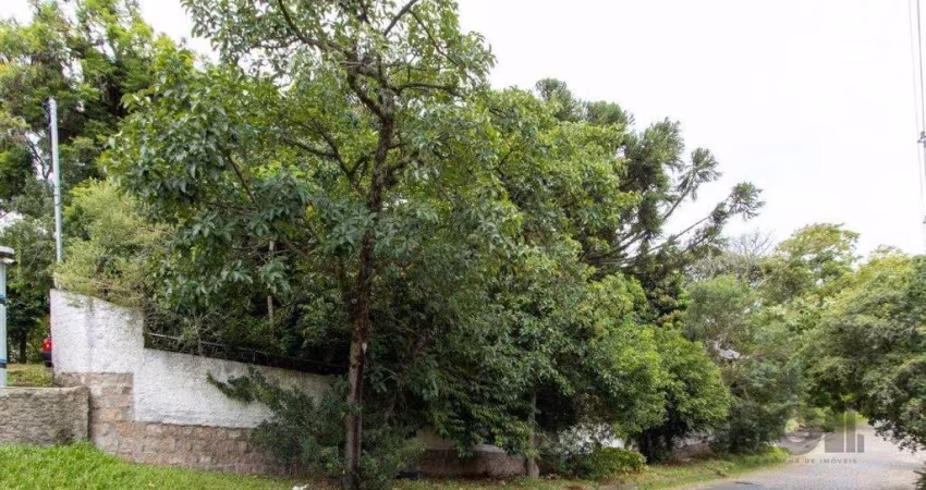 Terreno, 363.78 m², em Vila Conceição, em região elevada e livre de inundações