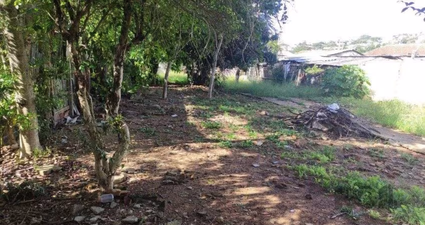 Terreno no Partenon com 494m² plano