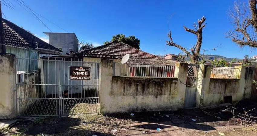 Terreno à venda Vila Ipiranga Porto Alegre/RS