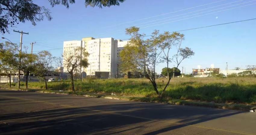 Terreno à venda Passo das Pedras Porto Alegre/RS