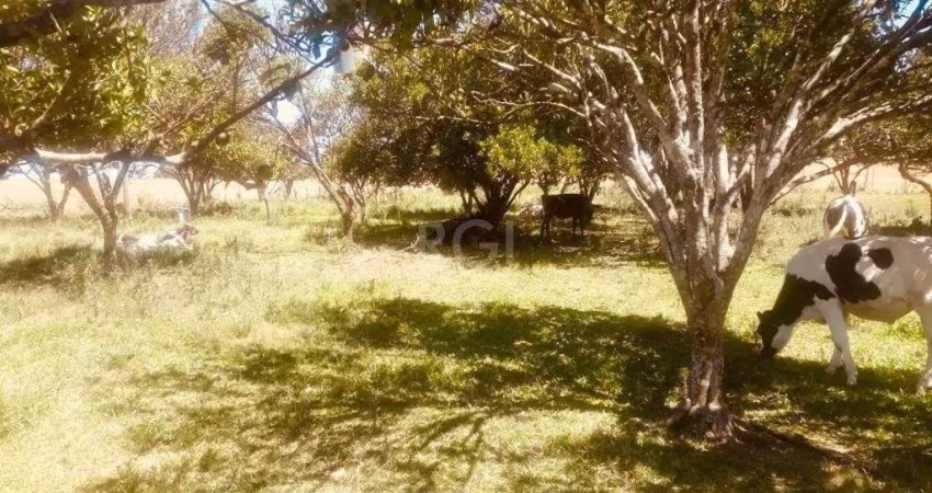 Terreno à venda Santa Helena Cruz Alta/RS